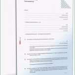 Ausgezeichnet Komplex Kündigung Ohne Vertrag Vorlage Ergenekonteror