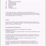 Ausgezeichnet Konformitätserklärung Vorlage Pdf Fein