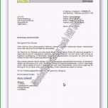 Ausgezeichnet Lebenslauf Din 5008 Vorlage Bewundernswert Bewerbung Din