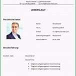 Ausgezeichnet Lebenslauf Vorlage Bauingenieur Bzw Bauingenieurin