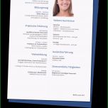 Ausgezeichnet Lebenslauf Vorlagen Kostenlos En Als Word Dateien