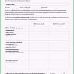 Ausgezeichnet Mieterselbstauskunft formular Word Schön ord Und Pdf