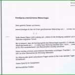 Ausgezeichnet Mieterselbstauskunft Vorlage Word Gute Selbstauskunft