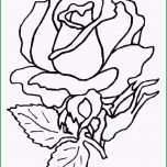 Ausgezeichnet Neues Rosen Malen Vorlagen