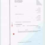 Ausgezeichnet O2 Vertrag Kundigen Vorlage Besten Der Kündigung Des