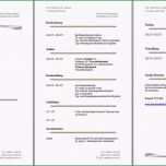 Ausgezeichnet Open Fice Lebenslauf Erstellen Professioneller