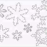 Ausgezeichnet Oz Shop Vorlagen Archiv Creative Living