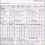 Ausgezeichnet Prüfbericht Für Netzgekoppelte Voltaik Systeme Gemäß