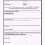 Ausgezeichnet Schön Konzept Erstellen Vorlage