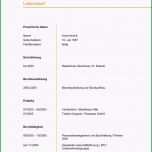 Ausgezeichnet Tabellarischer Lebenslauf Schüler Vorlage 13 Lebenslauf