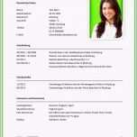 Ausgezeichnet Tabellarischer Lebenslauf Vorlage Lehrer Gute Muster