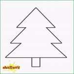 Ausgezeichnet Tannenbaum Basteln Aus Papier