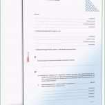 Ausgezeichnet Vergleichsvertrag