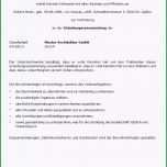 Ausgezeichnet Vollmacht Zur Vorlage Bei Der Zulassungsbehörde