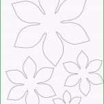 Ausgezeichnet Vorlagen Blumen Basteln Papacfo
