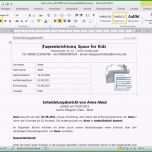 Ausgezeichnet Vorschau Professionelle Entwicklungsberichte Und