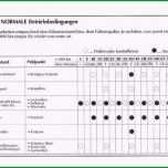Ausgezeichnet Wartungsplan Vorlage Excel Cool Template Vorlage Ideen