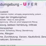Ausgezeichnet Wunddokumentation Vorlage