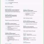 Bemerkenswert 10 Lebenslauf Koch Jobbeschreibung Vorlagen123 Vorlagen123