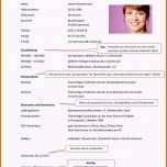 Bemerkenswert 10 Tabellarischer Lebenslauf Studium