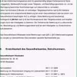 Bemerkenswert 12 Hygieneplan Vorlage
