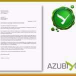 Bemerkenswert 12 Lebenslauf Muster Azubiyo