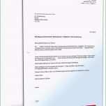 Bemerkenswert 14 Kündigung Lebensversicherung Vorlage