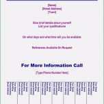 Bemerkenswert 15 Babysitter Anzeige Muster