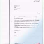 Bemerkenswert 1und1 Kündigung Vorlage