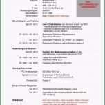 Bemerkenswert 20 Bewerbung Als Supporter