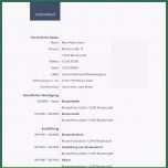Bemerkenswert 20 Openoffice Lebenslauf Vorlage