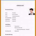 Bemerkenswert 20 Schülerpraktikum Lebenslauf Vorlage