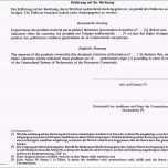 Bemerkenswert 49 Finanzielle Burgschaft Vorlage Laurencopeland