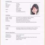 Bemerkenswert 56 Gesellschaftsvertrag Gmbh Vorlage Word Laurencopeland