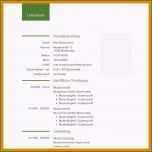 Bemerkenswert 7 Bewerbungsschreiben Vorlage Kostenlos Word