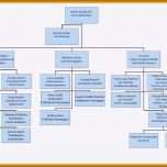 Bemerkenswert 7 organigramm Vorlage Pdf