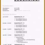 Bemerkenswert 8 Chronologischer Lebenslauf Muster
