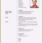 Bemerkenswert 8 Hobbys Lebenslauf