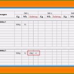 Bemerkenswert 9 Vorlage Trainingsplan Krafttraining Excel
