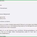 Bemerkenswert Antrag Darlehen Stromschulden Vorlage Papacfo