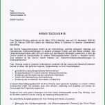 Bemerkenswert Arbeitszeugnis E Tel Gmbh