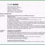 Bemerkenswert Ausführlicher Handgeschriebener Lebenslauf Einzigartiges