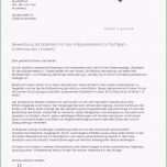 Bemerkenswert Bewerbung Bufdi Vorlage Bildnis Bewerbung Fsj Vorlage