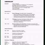 Bemerkenswert Biografie Vorlage Beispiel Bewerbungsfehler Sünden In