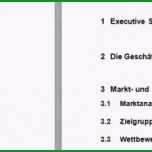 Bemerkenswert Businessplan Word Vorlage