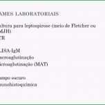 Bemerkenswert Carolina Romero Machado Ppt Carregar