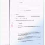 Bemerkenswert Die Fabelhaften Kündigung Praktikum Vorlage