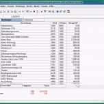 Bemerkenswert Doppelte Buchhaltung Excel Vorlage Kostenlos – De Excel