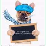 Bemerkenswert Düsseldorfer Kreis Liefert Mustererklärung Für