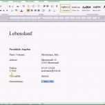 Bemerkenswert Einfacher Tabellarischer Lebenslauf In Word